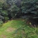 조마면사무소 이미지