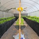 알찬농장 이미지