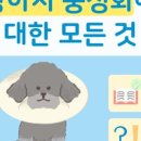 상암동물병원 이미지