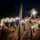 하례1리 농어촌체험휴양마을 이미지