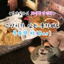 화양동거리_1 | 서울 건대입구칵테일바 화양동감성룸술집 <몽블랙> 고양이가 있는 좌식카페&amp;바(bar)