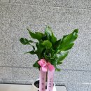 예림난농원