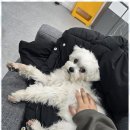 휴대폰의모든것 이미지
