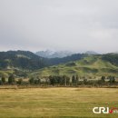 풀밭나라 이미지