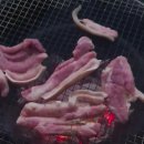 고미재펜션 Daum카페