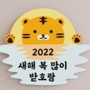 수하 Daum카페