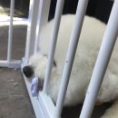 미쓰멍 이미지