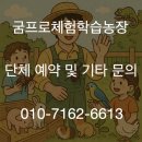 해뜨는어린이집 | 양평동물원 어린이체험 가능한곳 키즈카페같은 굼프로 체험학습장 샛별어린이집 방문후기