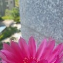 사랑스러운 노인전문요양원 이미지