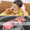 울애기한우