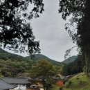 옥천 약수터 | 경남 고성 여행 고성 옥천사, 천년 고찰 신비한 약수가 흐르는 곳! 경남 고성 가볼만 한 곳 힐링여행