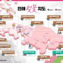 충장로446번길 이미지