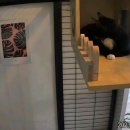 호텔이냥 이미지