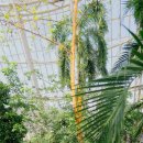 송내리 | 충남 여행 가볼만한곳 🌿 서천 국립생태원 에코리움