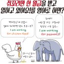 더현대서울톰그레이하운드 이미지