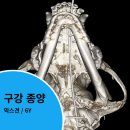 이비치 동물치과병원 이미지