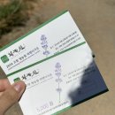 고창치과기공소 | 중독성강한 짬짜면 고창맛집 나래궁