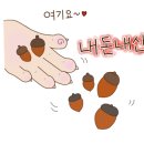 호텔라붐