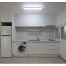 광진 pet 이미지