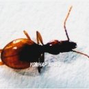 용연동굴 이미지