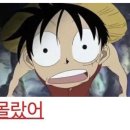 [몰랐어] | 티모시 샬라메 | 컴플리트 언노운 (A Complete Unknown) | 돌비시네마 | 아카데미 기획전 후기