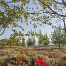 대산미술관 | 김해 분청 도자기축제 후기, 체험 사전예약 아이추천