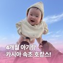 도구로 132 | [속초] 카시아 속초 5주년 결혼기념일 + 4개월 아기와 호캉스 후기 | 프리미어킹 조식 패키지