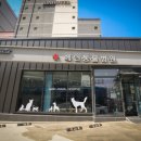 오창동물병원 이미지