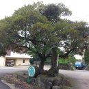 토산1리 이미지