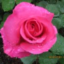 광주은행학동지점 이미지