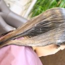 지니헤어(Jini hair)