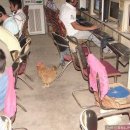 샤크PC방 이미지