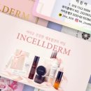 자인인셀덤 - 청주시 서원구 | 자인인셀덤