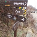 사목1리 Daum카페