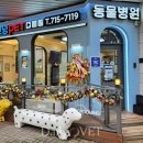 굿모닝 동물병원 이미지
