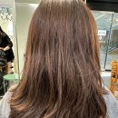 스파 앤 컷 | [해운대센텀미용실] 에코레비헤어앤스파 해운대센텀점- 레이어드컷+복구염색 후기 (feat. 니키 대표원장님)