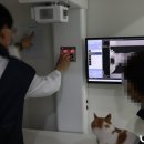 동물병원 비아츠 이미지