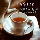 7월 15일(화) 오는 17일(목) 정선 옥수수 출하를 앞두고 쓰는 이야기 이미지