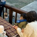 산아래민박 이미지