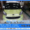 덴트칼라 이미지