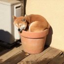 힐링타임 이미지