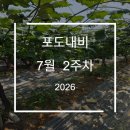 가온적산
