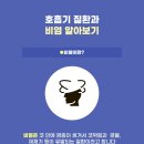 혁신한의원 티스토리