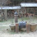 다산농원 이미지