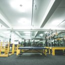 필라트니스 이미지