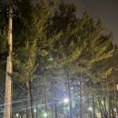 삽지공원 이미지