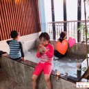 쉐이리코타키나 이미지