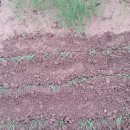 윤식농장 이미지