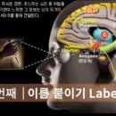 두려움을 용기로 바꾸는 마음의 연금술 이미지
