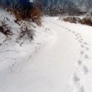 우정당구클럽 이미지